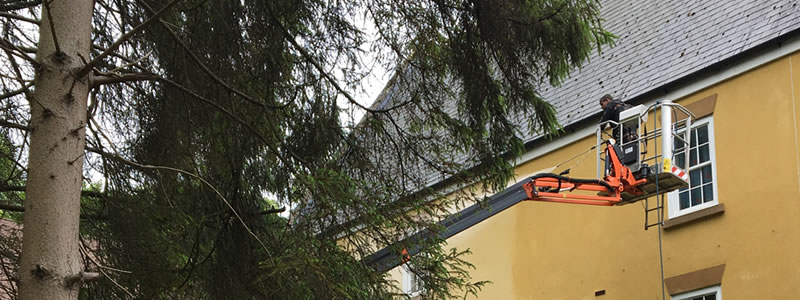 Gutter Cleaning