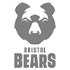 Bears-logo-grey100